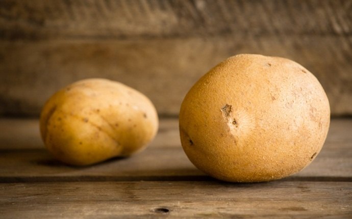 potato for dark circles - raw potato puree