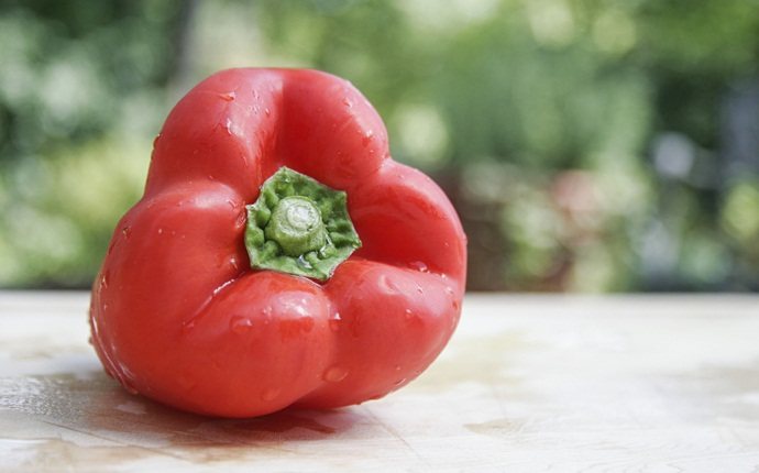 vitamin a foods for skin - red bell pepper