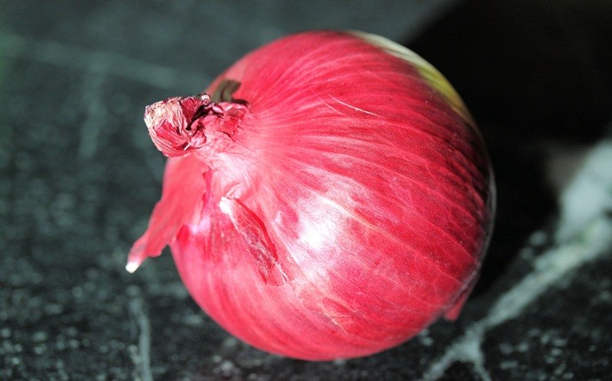 how to treat hyperpigmentation - red onion
