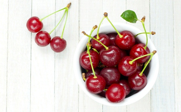 anti-inflammatory foods - tart cherry