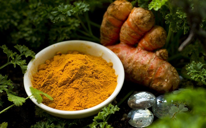 anti-inflammatory foods - turmeric