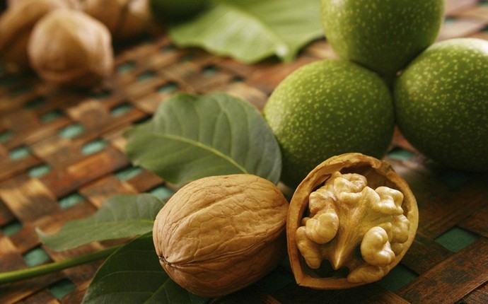 anti-inflammatory foods - walnut
