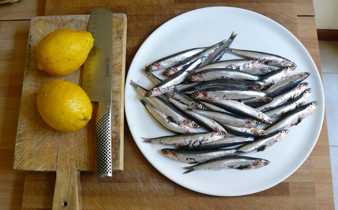 anti-allergy foods - anchovies