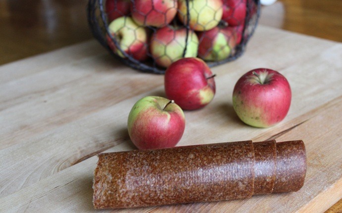 paleo snack recipes - apple cinnamon fruit rolls