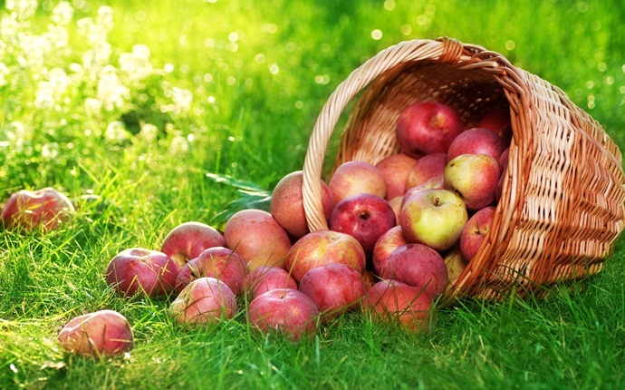 anti-allergy foods - apples