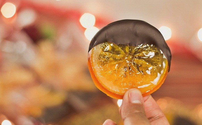 paleo snack recipes - gummi orange slices