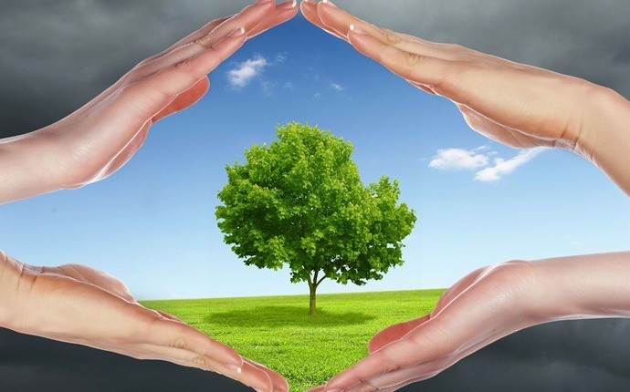 benefits of trees - reduce pollution