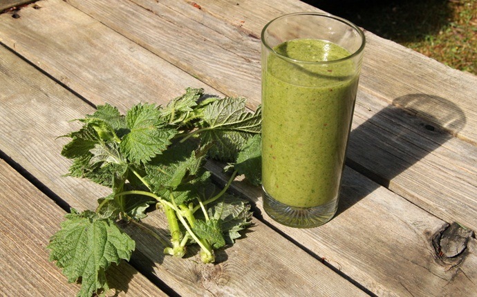 natural diuretic foods - stinging nettle