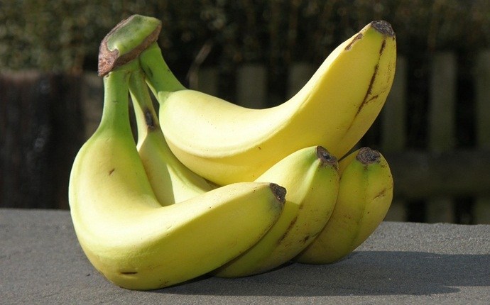 diet to increase stamina - bananas