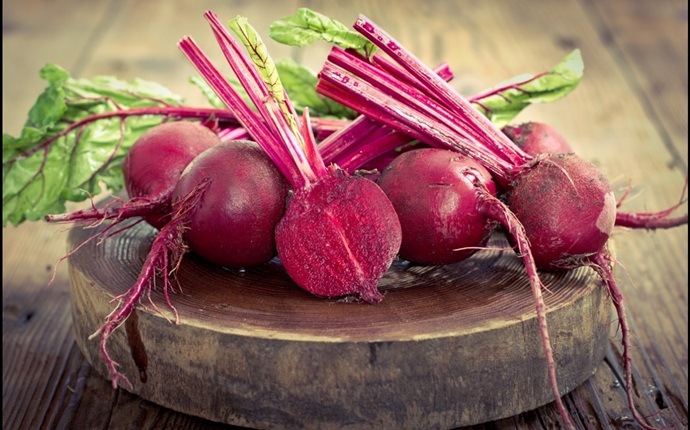 liver cleansing diet - beetroots