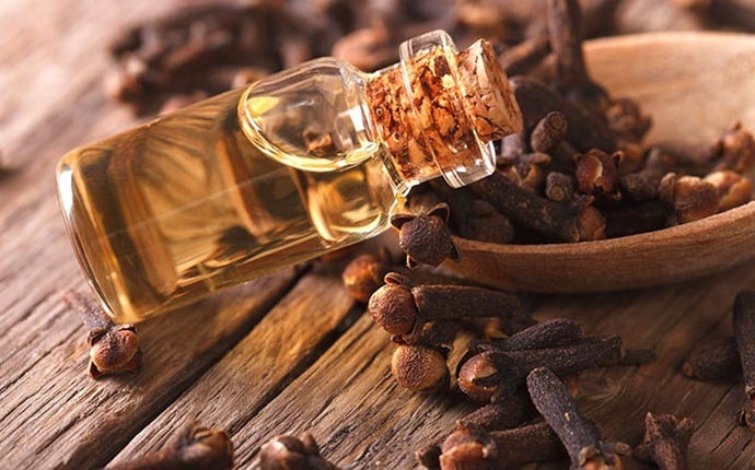 home remedies for dry socket - clove oil