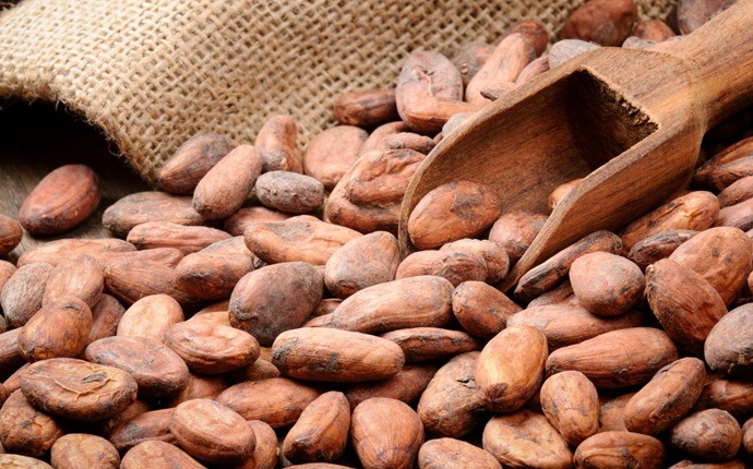 herbs for high blood pressure - cocoa extract