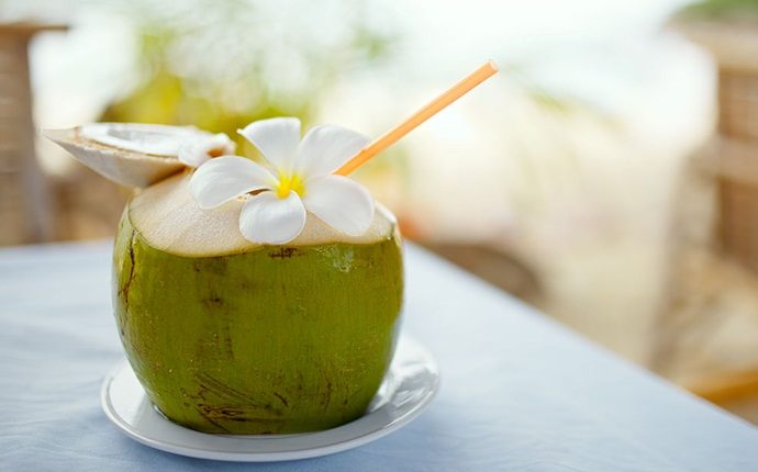 diet to increase stamina - coconut water