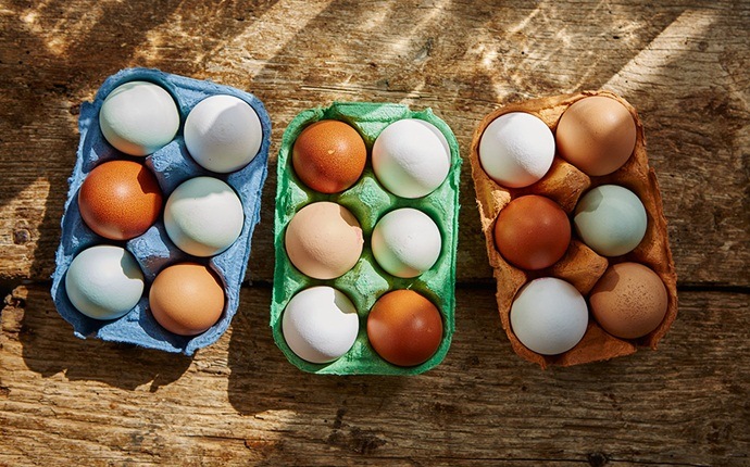 foods to boost fertility - eggs