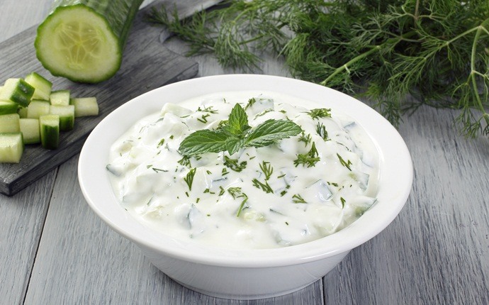 most nutrient dense foods - greek yogurt