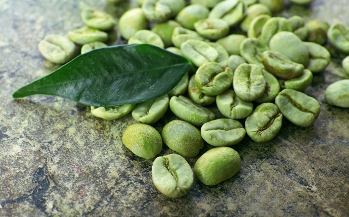 herbs for high blood pressure - green coffee extract