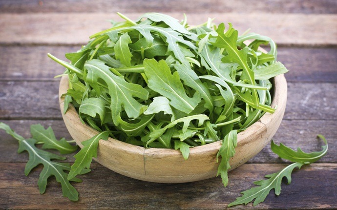 diet to increase stamina - green leafy vegetables