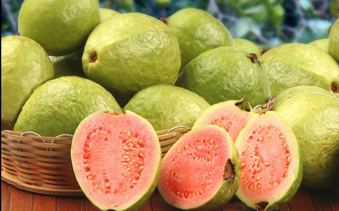 lycopene rich foods - guava