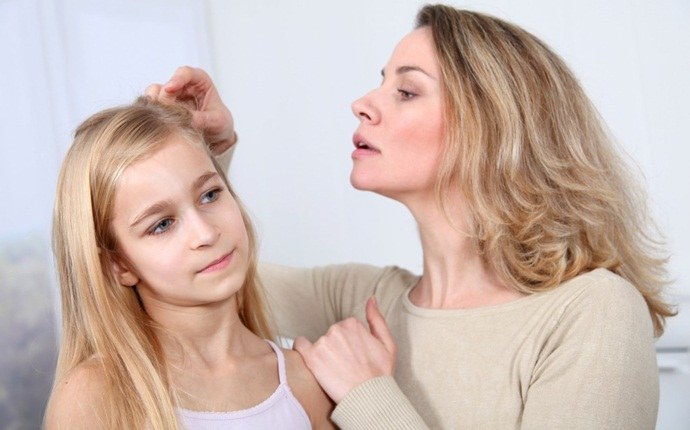 benefits of eucalyptus essential oil - head lice