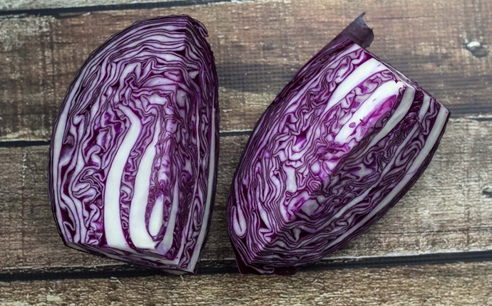lycopene rich foods - red cabbage