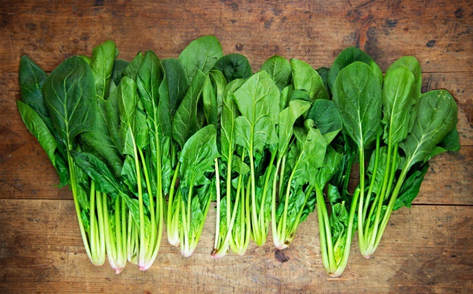 most nutrient dense foods - spinach