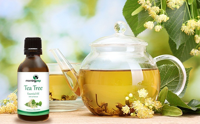 how to get rid of dandruff - tea tree oil