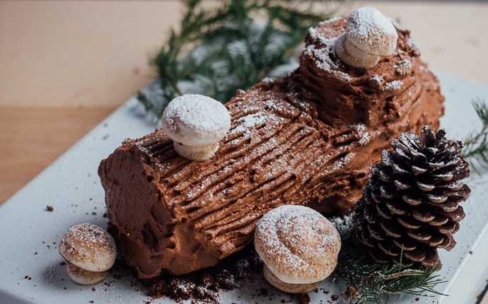 christmas recipes for kids - chocolate log