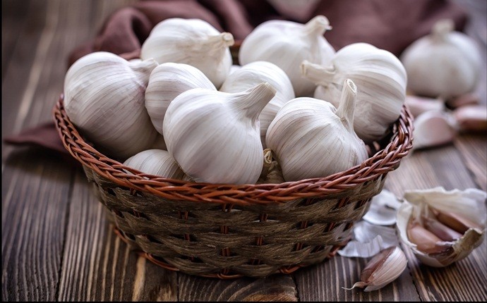 food for colds - garlic