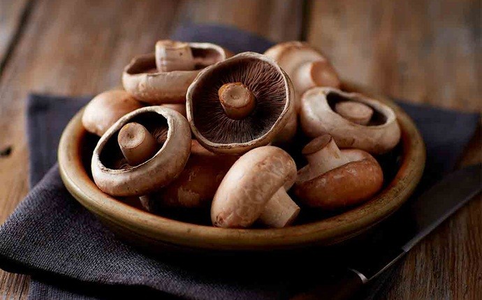 food for colds - mushrooms