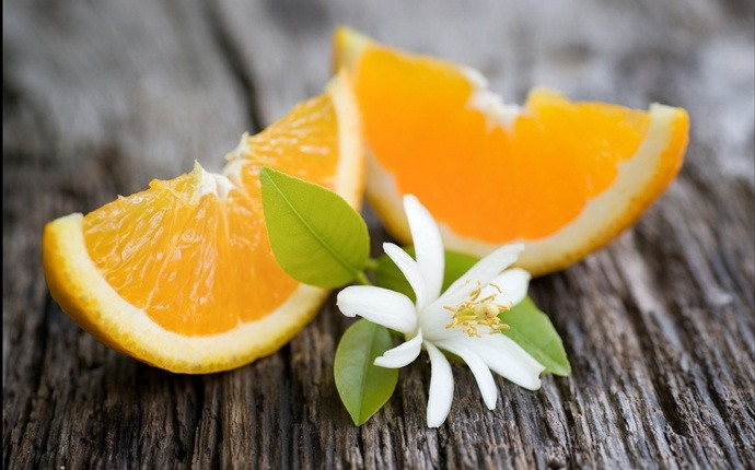 food for colds - oranges