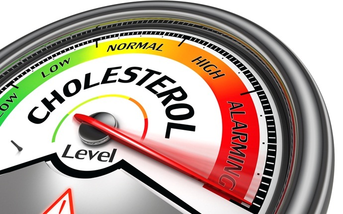 benefits of artichoke - reduce bad cholesterol