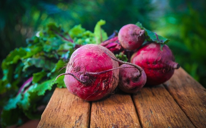 foods that detox your body - beetroot