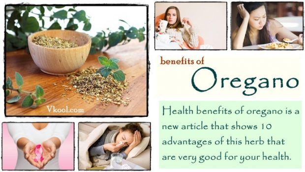 health benefits of oregano