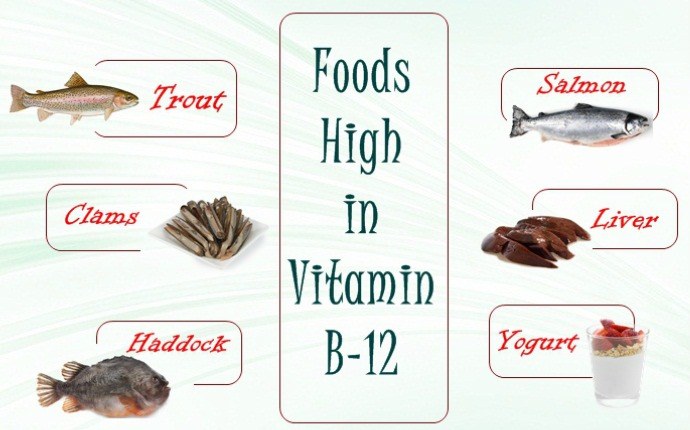 foods high in vitamin b 12