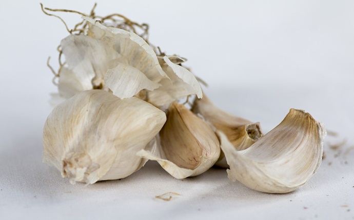 foods for vaginal health - garlic