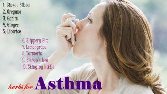 natural herbs for asthma