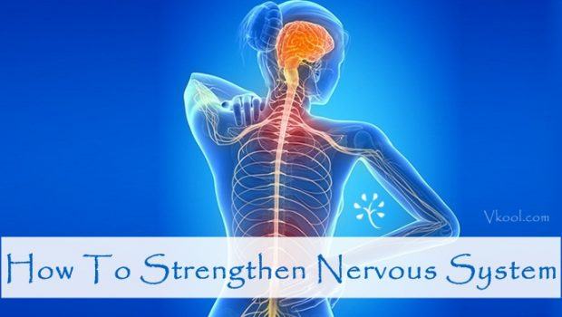 how to strengthen nervous system health