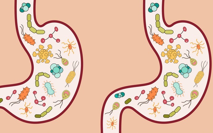 benefits of oregano - kill intestinal parasites