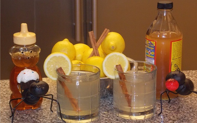 lemon for acid reflux - lemon juice combined with apple cider vinegar