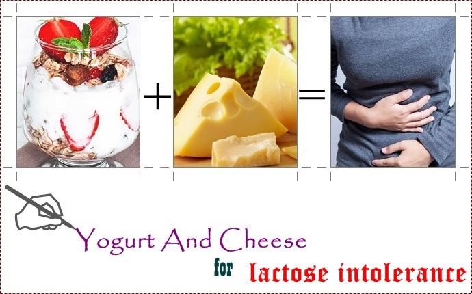 yogurt and cheese