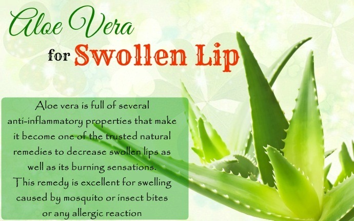 how to get rid of swollen lip - aloe vera