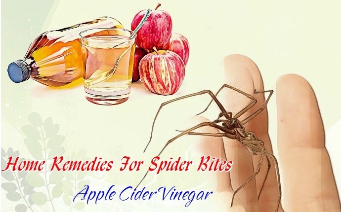 home remedies for spider bites - apple cider vinegar