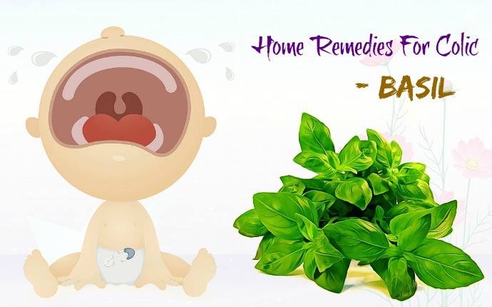 home remedies for colic - basil