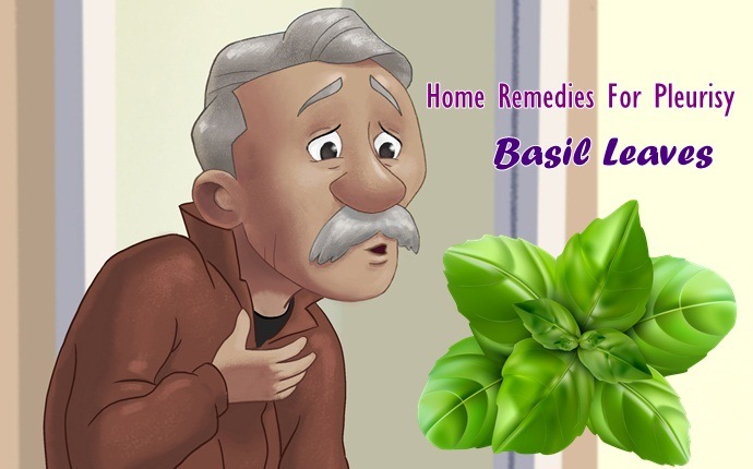 home remedies for pleurisy - basil leaves