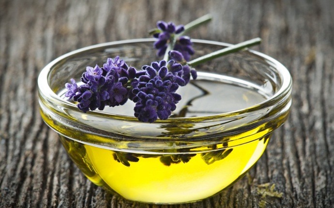 treatment for scalds - lavender essential oil