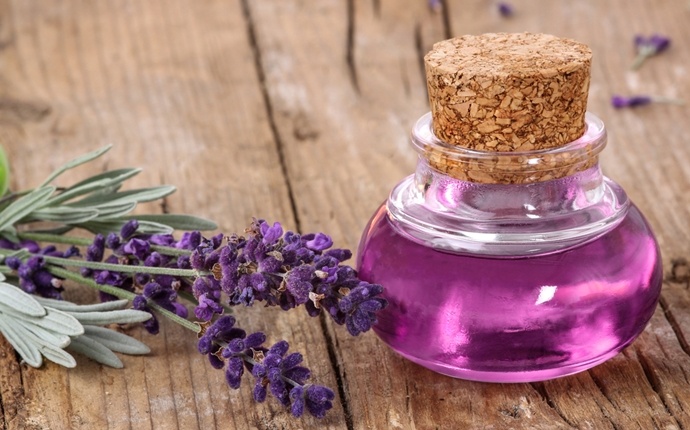 how to eliminate neck pain - lavender oil