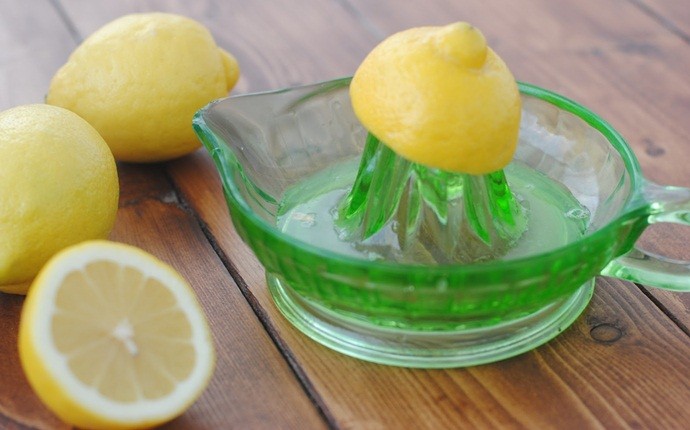 lemon for hair loss - lemon juice rinse
