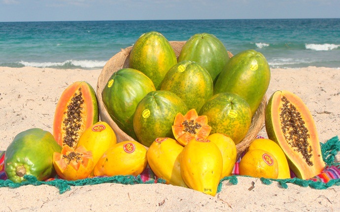 home remedies for melasma - papayas