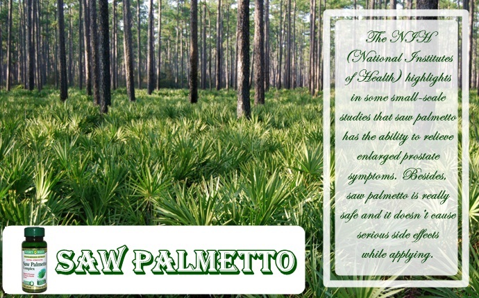 home remedies for enlarged prostate - saw palmetto