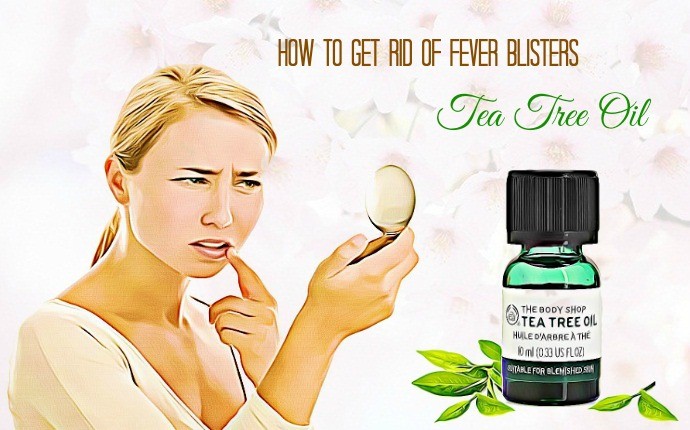 how to get rid of fever blisters - tea tree oil